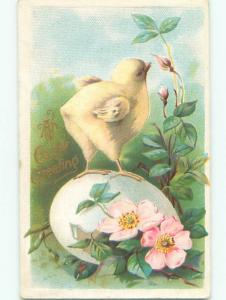 Pre-Linen easter CHICK STANDING ON EGG CHECKS FLOWER J2122