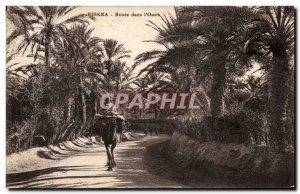 Old Postcard Biskra Road in Oasis Camel