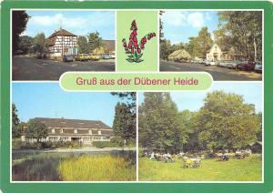 B47079 Dubener Heide     germany