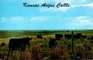 Kansas Pasture With Angus Cattle