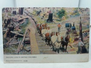 Vintage Antique Canadian Postcard Horses Hauling Logs in British Columbia c1906