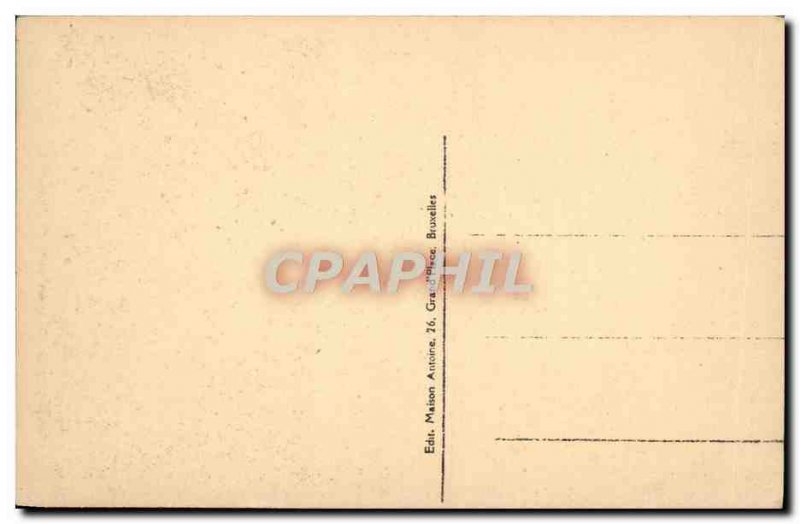 Brussels Old Postcard King's House