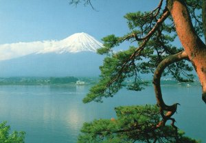 Postcard Four Seasons Of Mount Fuji Japan