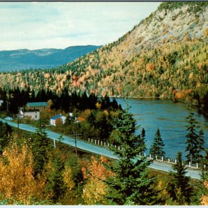 c1960s Corner Brook Newfoundland Postcard Entrance Humber River Autumn Foliage