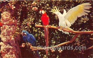 Parrot Jungle, FL, USA Crested Cockatoo, Macaws Unused 