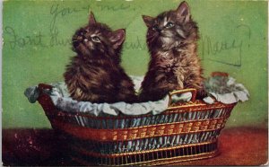 Kittens in Basket Cats Animals Cat Series #1 Macfarlane Postcard H15