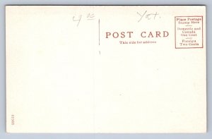 J91/ Potter New York Postcard c1910 Main Street Stores Lounsbery Drugs 113