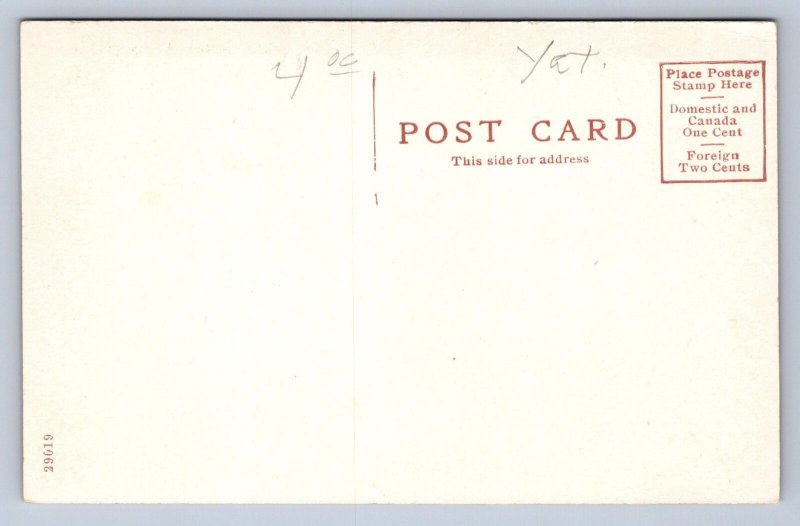 J91/ Potter New York Postcard c1910 Main Street Stores Lounsbery Drugs 113