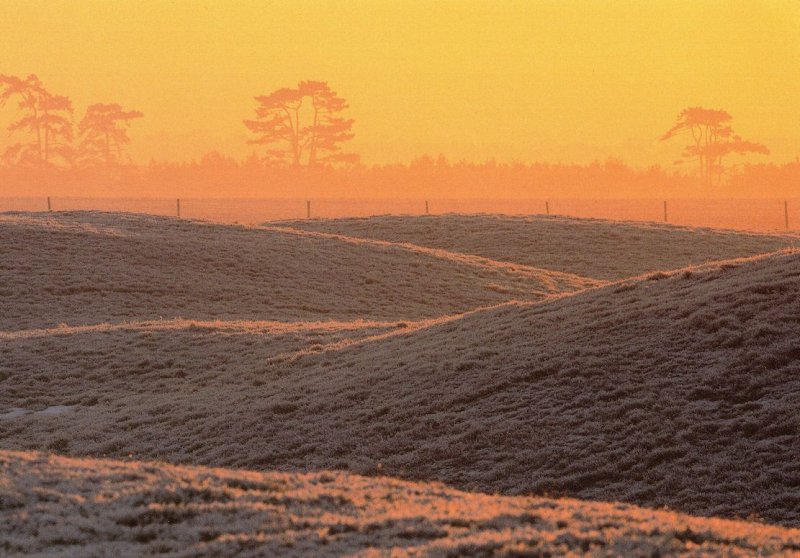 Sutton Hoo Sunset Suffolk Postcard