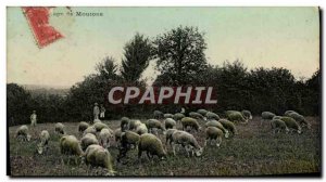 Old Postcard Folklore Sheep farming