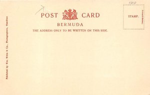 Royal Palms Bermuda Postcard