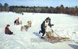 Sled Dog Racing In New England, USA Ski, Skiing Unused 