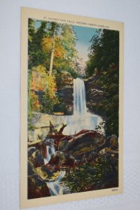 Maiden Hair Falls Western North Carolina Postcard Asheville Post Card Co.