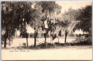 Lake Eola Orlando Florida FL Line-Trees Landmark Antique Black & White Postcard