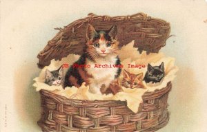 Helena Magurie, Albrecht & Meister No 285, Anthropomorphic Cats in Wicker Basket