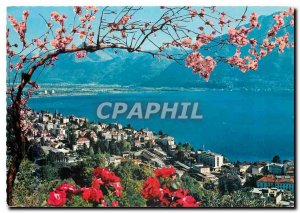 Postcard Modern Lake Maggiore Locarno General view