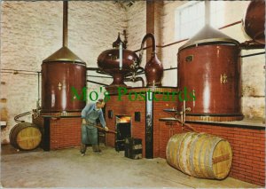 Food & Drink Postcard - Alcohol - Remy Martin - Distillerie Charentaise RRR1129
