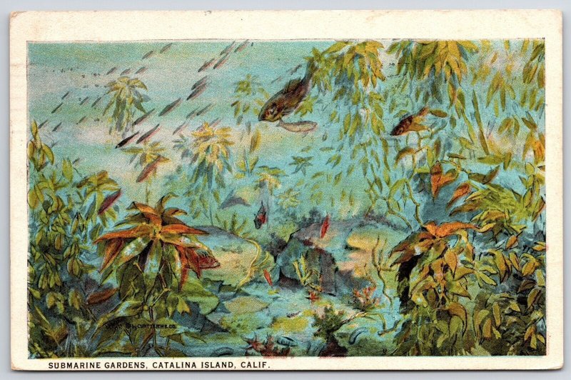 1929 Submarine Gardens Catalina Island California CA Sightseeing Fishes Postcard