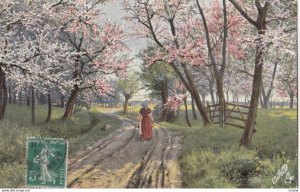 Blooming Trees, 1909; TUCK 258