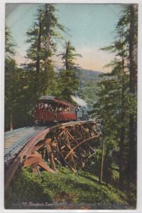 Mt. Tamalpais Scenic Railway Crossing Canyon Full Color View Rare Postcard