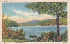 Greetings From Farrell Pennsylvania Curteich