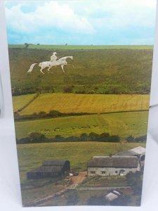 Vintage Postcard The White Horse And Farm Osmington 1970s