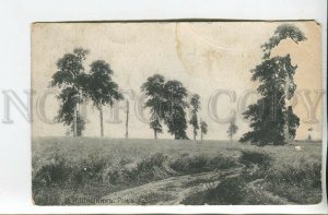 461831 SHISHKIN Rye RUSSIA Vintage postcard