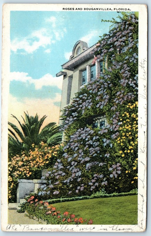 c1910s Daytona, FL House Vine Roses & Bouganvillea Flowers Litho Photo PC A274