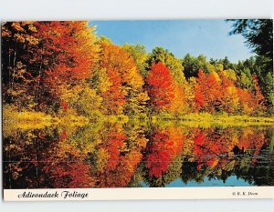 Postcard Adirondack Foliage, Adirondack Park, New York