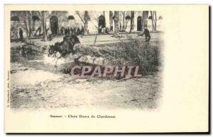 Old Postcard Horse Riding Equestrian Saumur Fall fluke Chardonnet
