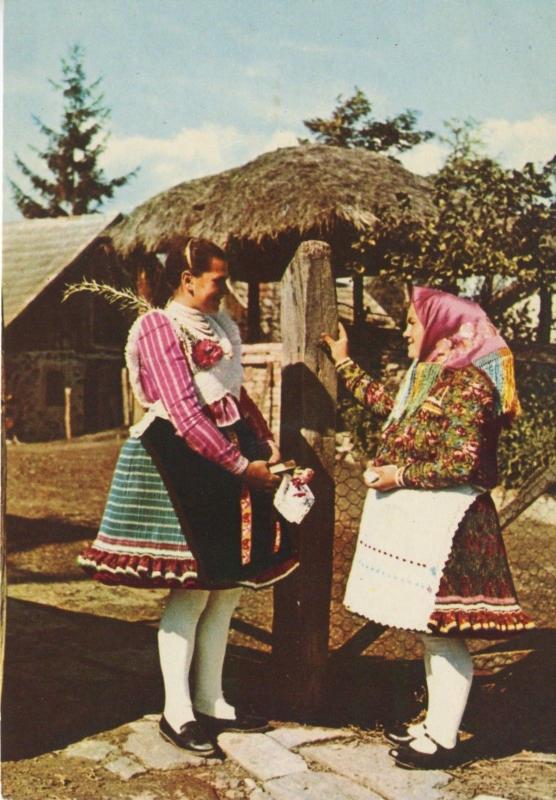 Traditional Costume Of Bujak Bujaki Nepviselet Poland Unused Postcard D24