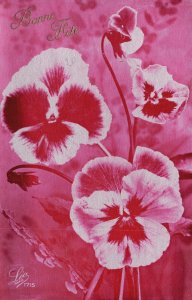 Vintage Postcard 1910's A Happy Birthday Greetings Bonne Fete Beautiful Flowers