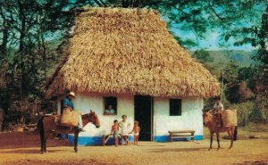 Panama Typical Hit In A Mountain Village of Panama Interior Postcard 08.14