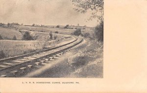 Dushore Pennsylvania LV Railroad  Horseshoe Curve Vintage Postcard AA80358