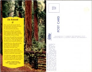 The Redwoods (15044