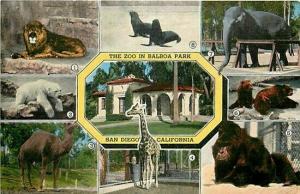 CA, San Diego, California, Balboa Park, Zoological Gardens, Multi View, Hopkins