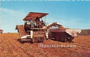 Potato Harvester in Aroostook County, Maine