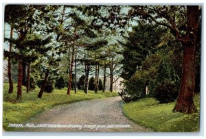 c1910s IOOF State Home Driveway Through Pines East Entrance Jackson MI Postcard