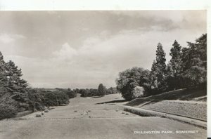 Somerset Postcard - Dillington Park - Real Photograph - Ref TZ92