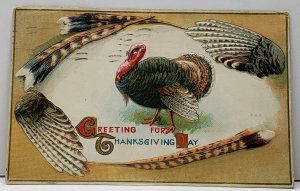 Thanksgiving Greetings Turkey Thru Feather View Embossed 1916 Postcard F12