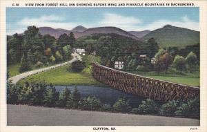 Georgia Clayton View Of Ravens Wing and Pinnacle Mountain