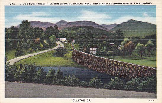 Georgia Clayton View Of Ravens Wing and Pinnacle Mountain