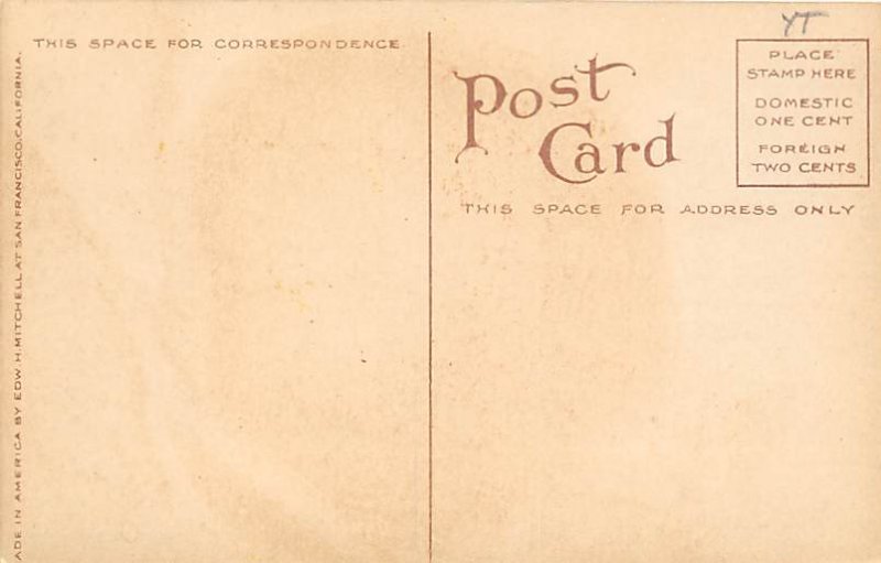 The Big Red Apple  Postcard Unused