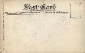 Woodland ME St. Croix Paper Co Mill c1910 Postcard