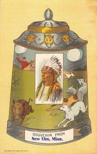 New Ulm Minnesota Indian Chief Stein Jar Antique Postcard K37699