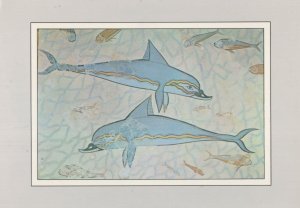 Greek Blue Dolphins Fish Stunning 1600 BC Fresco Painting Postcard