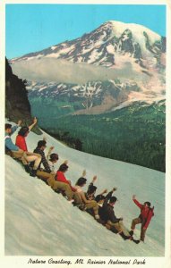 USA Nature Coasting Mt Rainier National Park Washington Chrome Postcard 08.99