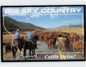 Postcard Big Sky Country Cattle Drive Montana USA