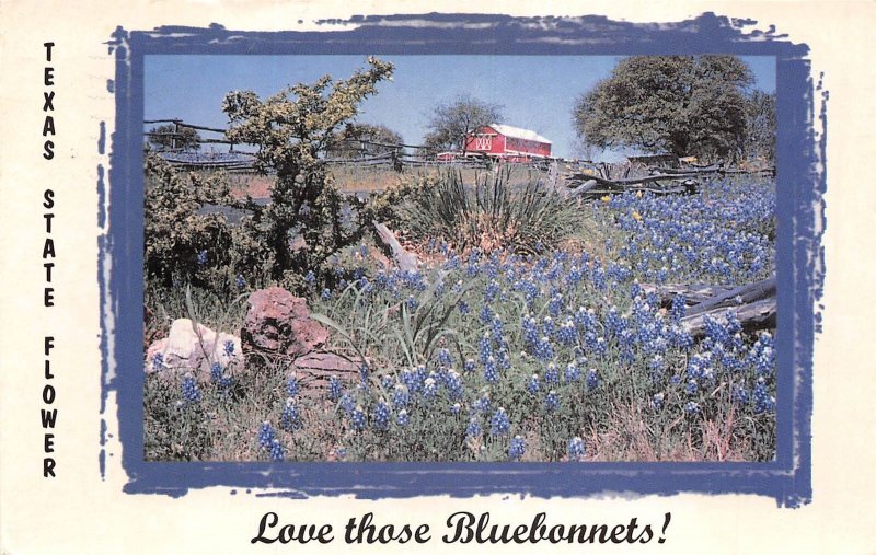 US6 USA Texas state flower bluebonnet 1999 Cochran female pilot stamp postcard