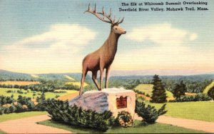 Massachusetts Mohawk Trail The Elk At Whitcomb Summit Overlooking Deerfield R...